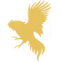 CockFight